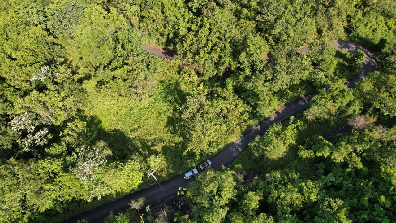 Twenty-Fourth image of 1 Bromley ,nonsuch in Nonsuch, Portland, Jamaica - property is For Sale