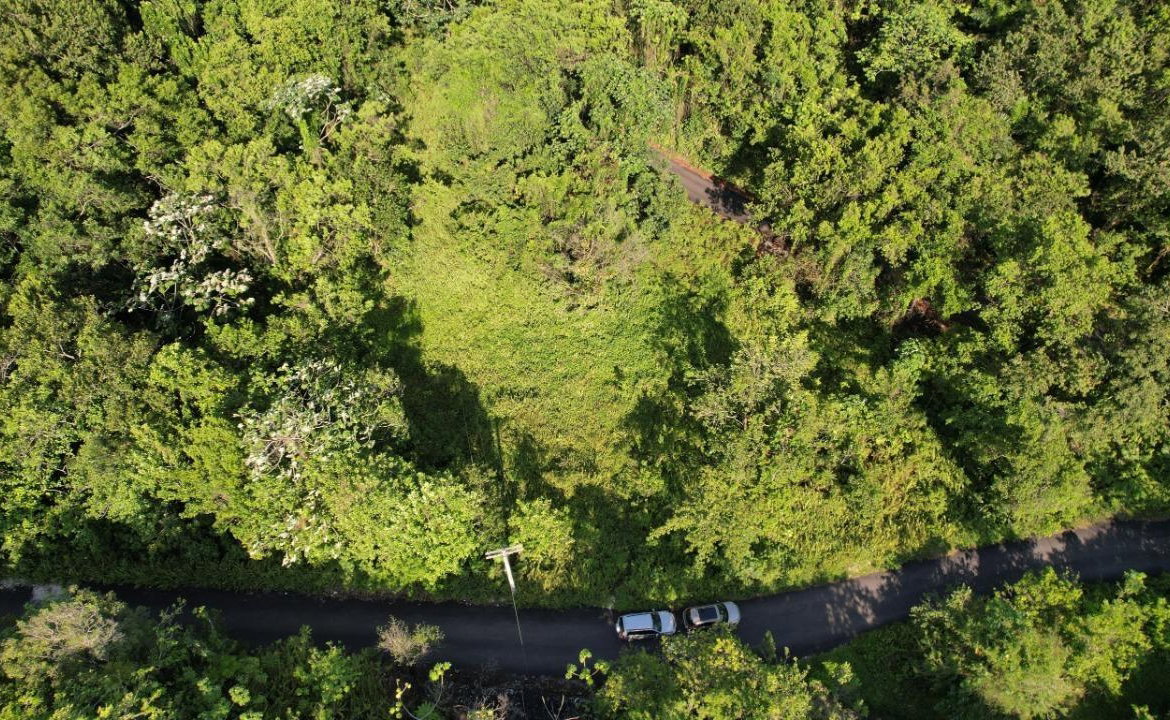 Twenty-Fifth image of 1 Bromley ,nonsuch in Nonsuch, Portland, Jamaica - property is For Sale