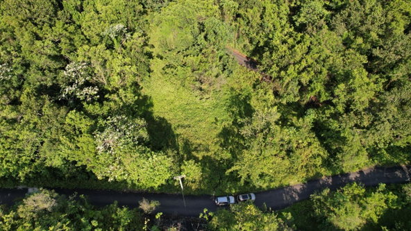 Twenty-Fifth image of 1 Bromley ,nonsuch in Nonsuch, Portland, Jamaica - property is For Sale