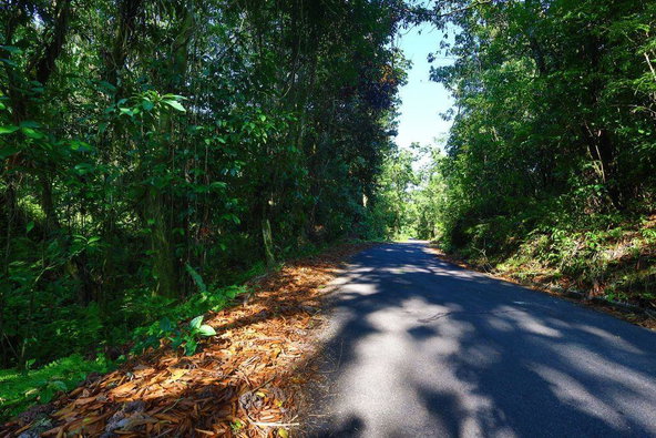 Twenty-Sixth image of 1 Bromley ,nonsuch in Nonsuch, Portland, Jamaica - property is For Sale