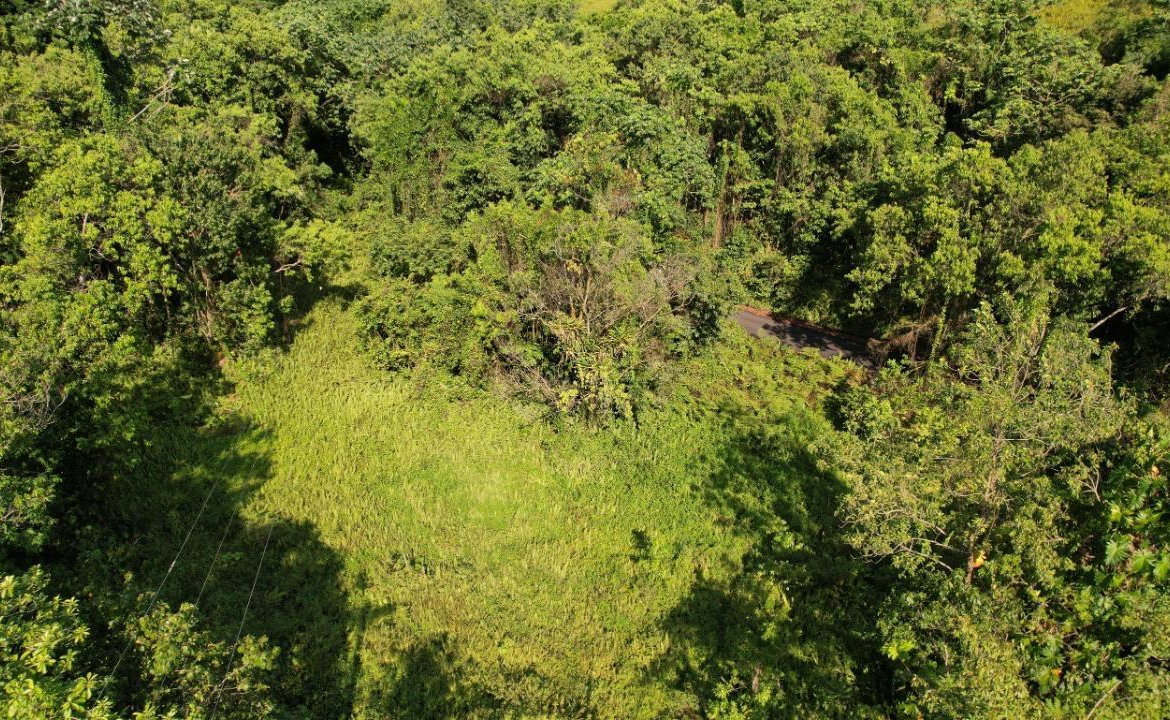 Twenty-Seventh image of 1 Bromley ,nonsuch in Nonsuch, Portland, Jamaica - property is For Sale