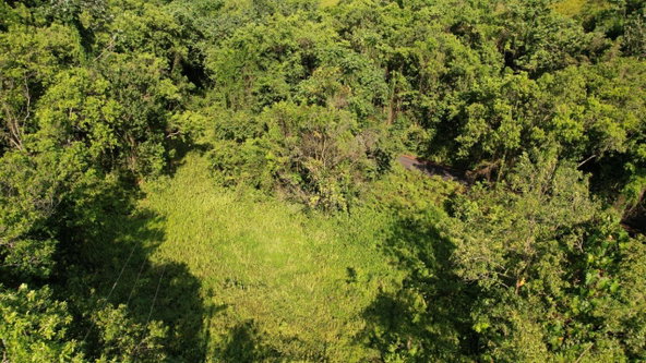 Twenty-Seventh image of 1 Bromley ,nonsuch in Nonsuch, Portland, Jamaica - property is For Sale