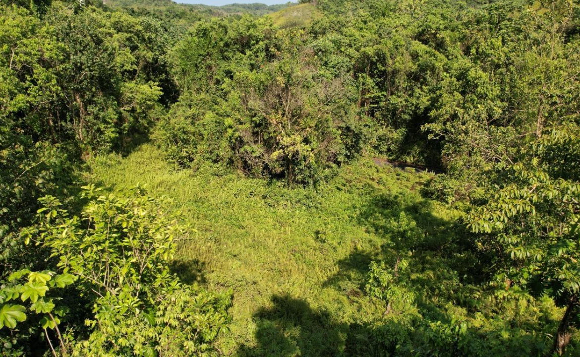 Twenty-Eighth image of 1 Bromley ,nonsuch in Nonsuch, Portland, Jamaica - property is For Sale