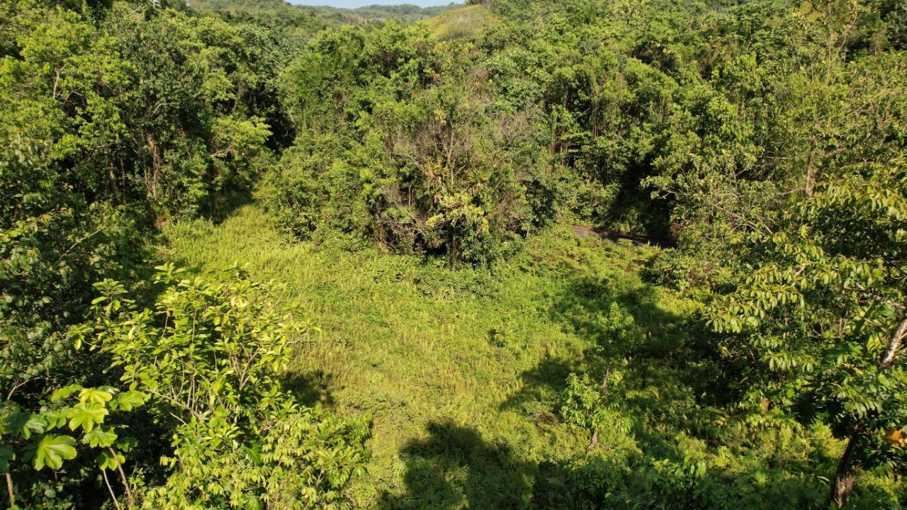 Twenty-Eighth image of 1 Bromley ,nonsuch in Nonsuch, Portland, Jamaica - property is For Sale