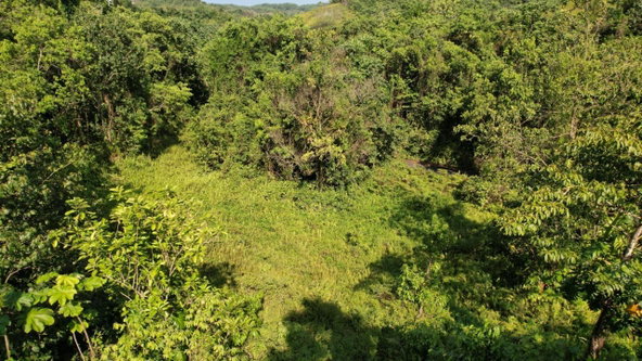 Twenty-Eighth image of 1 Bromley ,nonsuch in Nonsuch, Portland, Jamaica - property is For Sale
