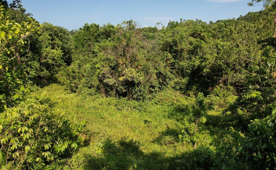 Twenty-Ninth image of 1 Bromley ,nonsuch in Nonsuch, Portland, Jamaica - property is For Sale