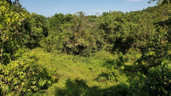 Twenty-Ninth image of 1 Bromley ,nonsuch in Nonsuch, Portland, Jamaica - property is For Sale
