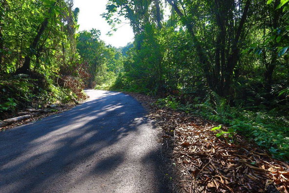 Thirtieth image of 1 Bromley ,nonsuch in Nonsuch, Portland, Jamaica - property is For Sale