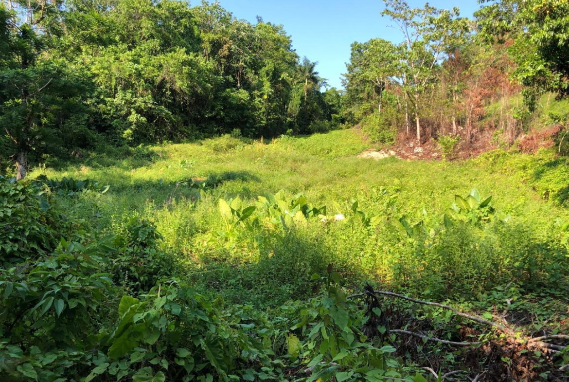 Fourth image of 1 Bromley ,nonsuch in Nonsuch, Portland, Jamaica - property is For Sale