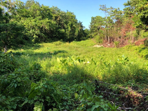 Fourth image of 1 Bromley ,nonsuch in Nonsuch, Portland, Jamaica - property is For Sale