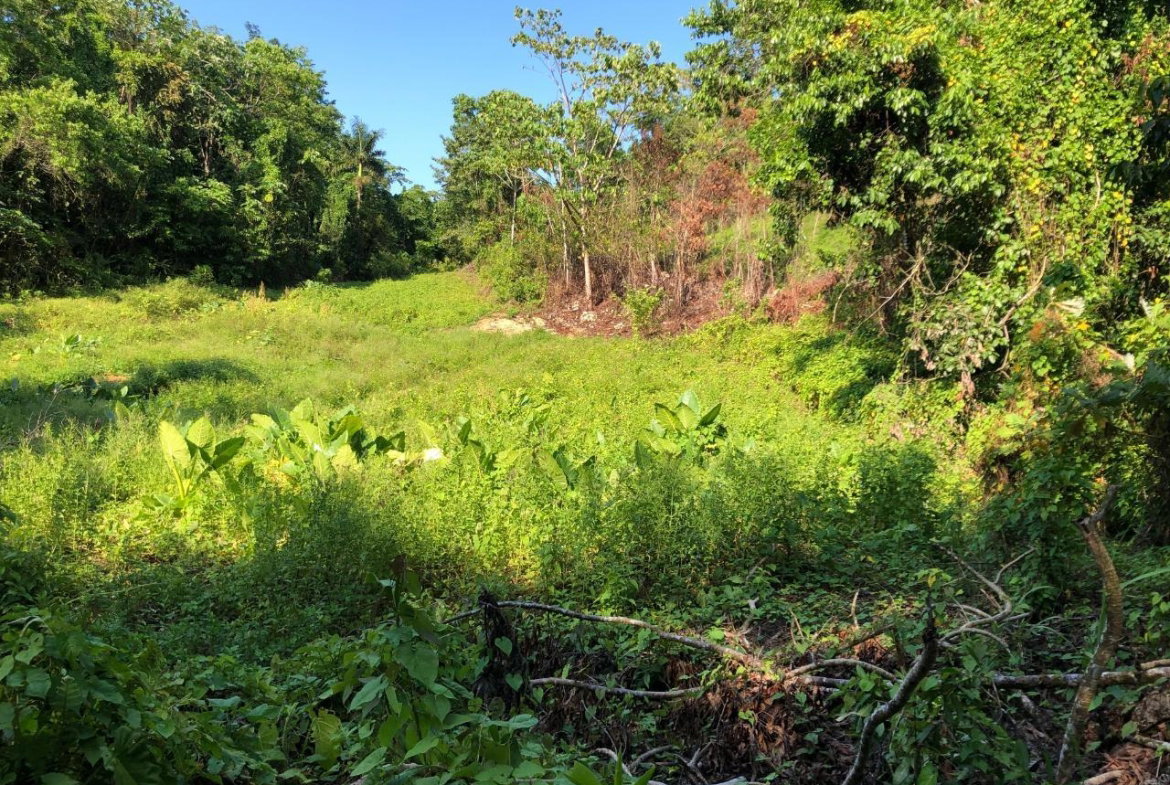 Fifth image of 1 Bromley ,nonsuch in Nonsuch, Portland, Jamaica - property is For Sale