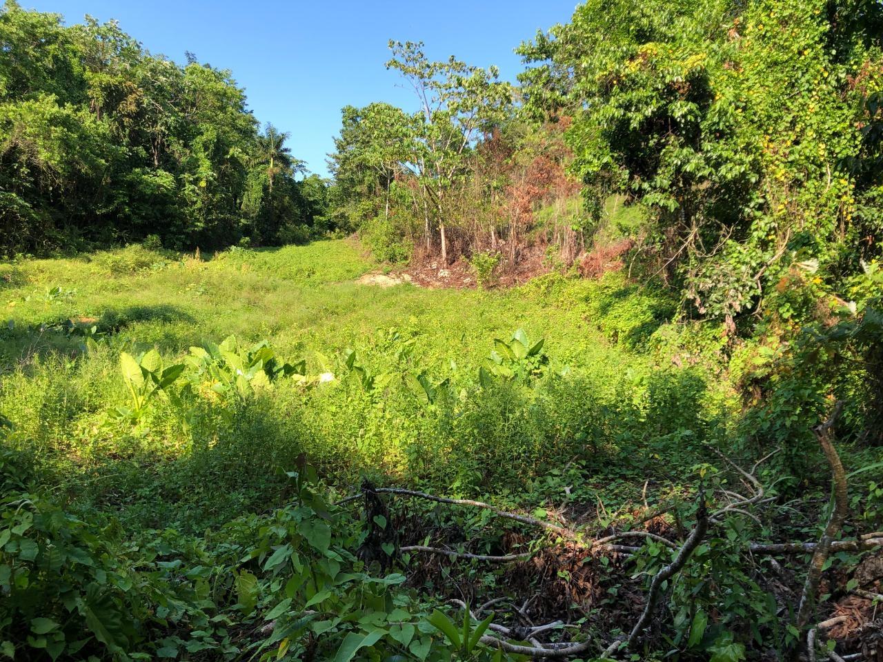 Fifth image of 1 Bromley ,nonsuch in Nonsuch, Portland, Jamaica - property is For Sale