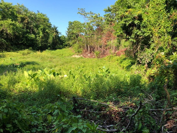 Fifth image of 1 Bromley ,nonsuch in Nonsuch, Portland, Jamaica - property is For Sale