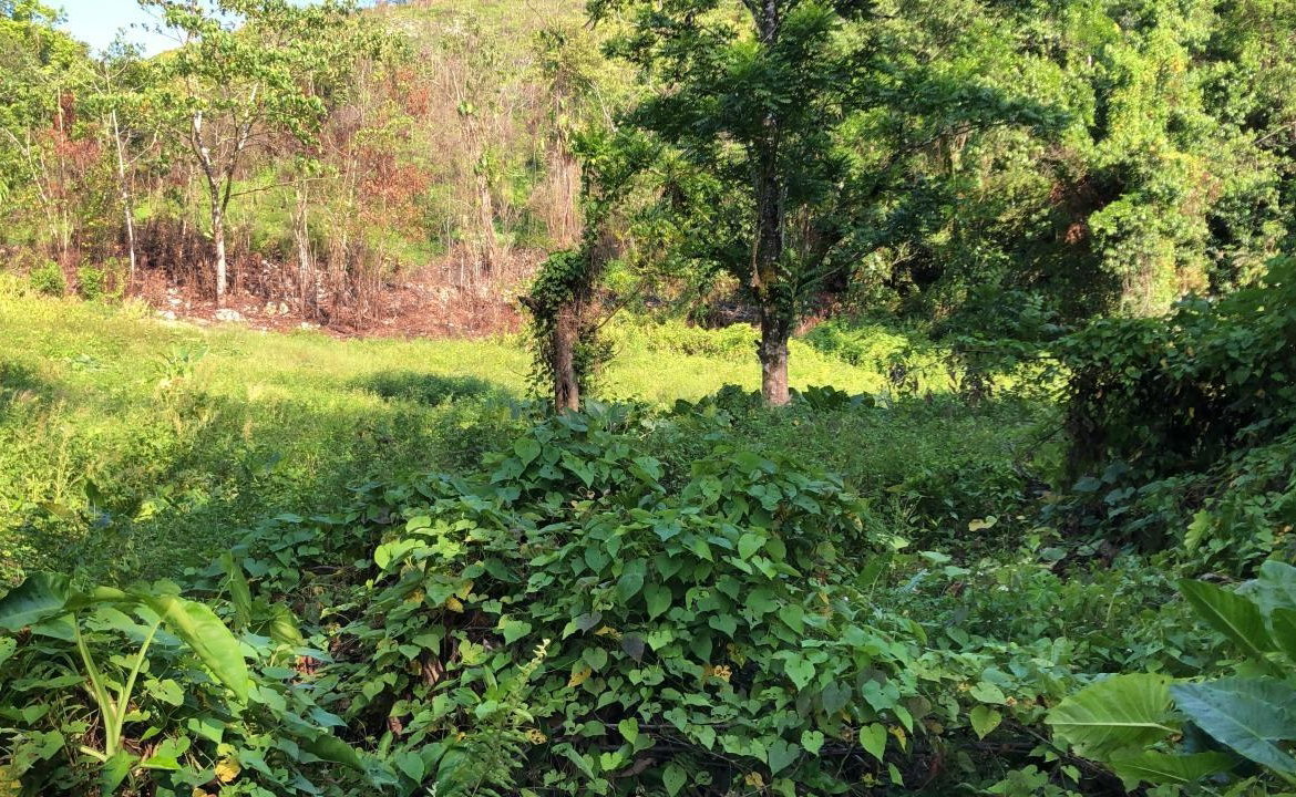 Sixth image of 1 Bromley ,nonsuch in Nonsuch, Portland, Jamaica - property is For Sale