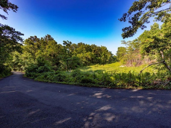 First image of 1 Bromley ,nonsuch in Nonsuch, Portland, Jamaica - property is For Sale