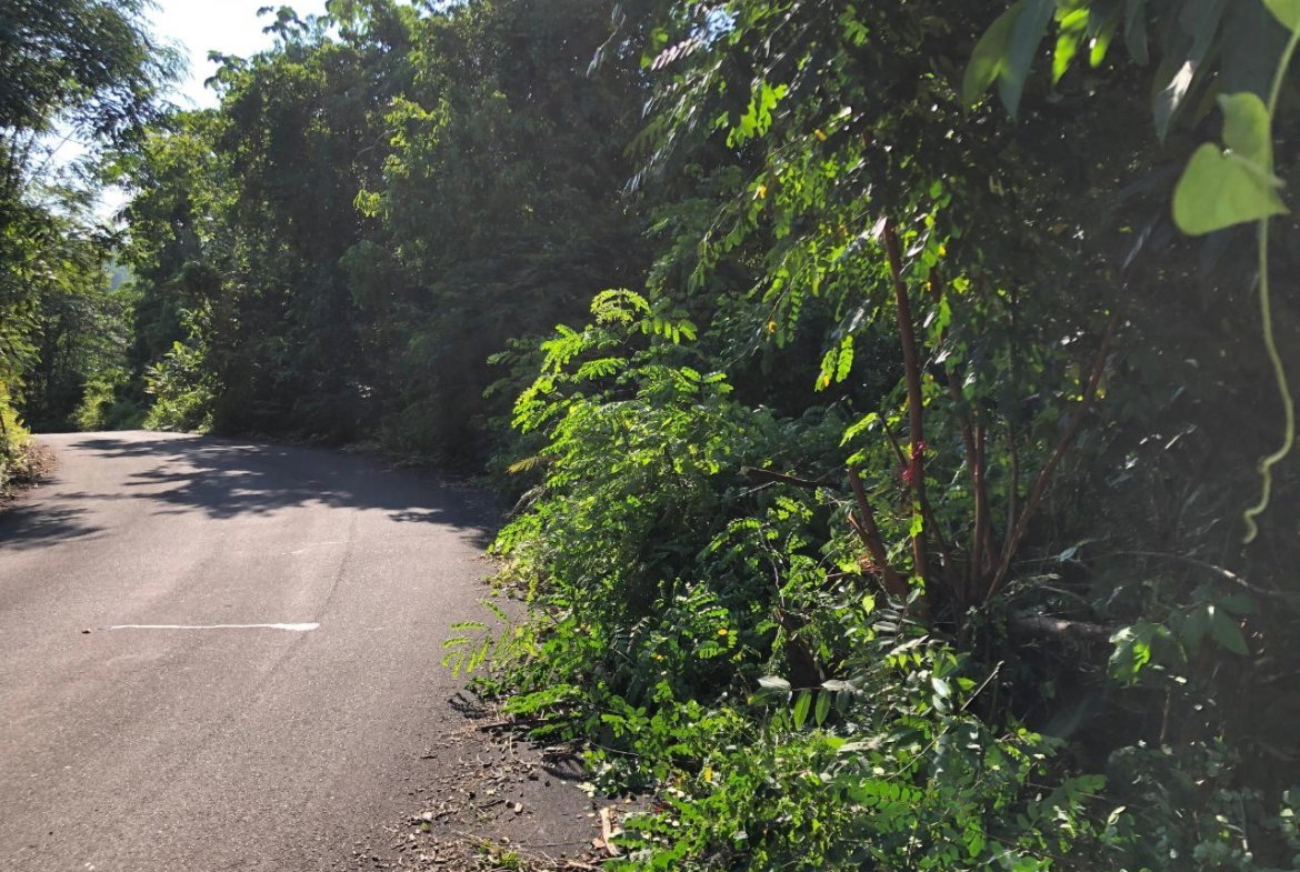 Seventh image of 1 Bromley ,nonsuch in Nonsuch, Portland, Jamaica - property is For Sale