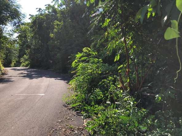 Seventh image of 1 Bromley ,nonsuch in Nonsuch, Portland, Jamaica - property is For Sale