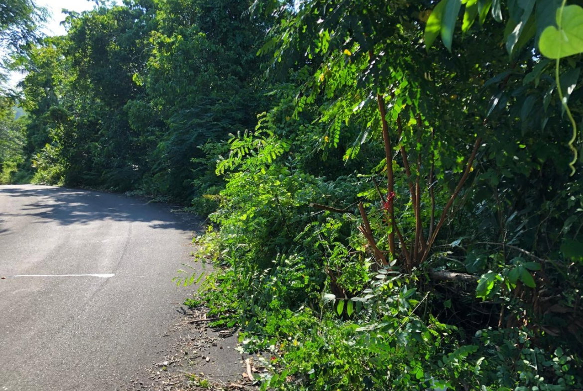 Ninth image of 1 Bromley ,nonsuch in Nonsuch, Portland, Jamaica - property is For Sale
