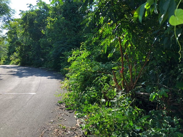 Ninth image of 1 Bromley ,nonsuch in Nonsuch, Portland, Jamaica - property is For Sale