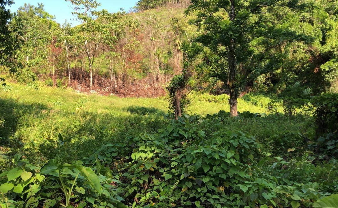 Tenth image of 1 Bromley ,nonsuch in Nonsuch, Portland, Jamaica - property is For Sale