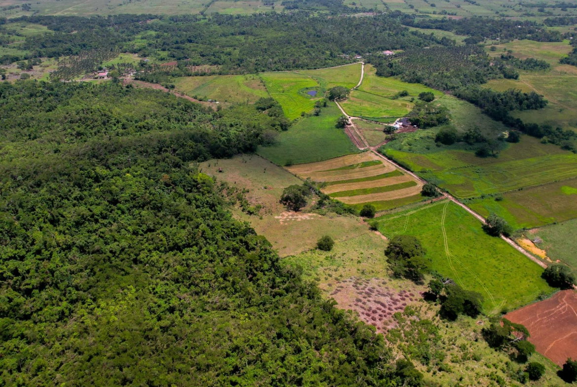 Second image of Elim to Bogue in Bogue, St. Elizabeth, Jamaica - property is For Sale