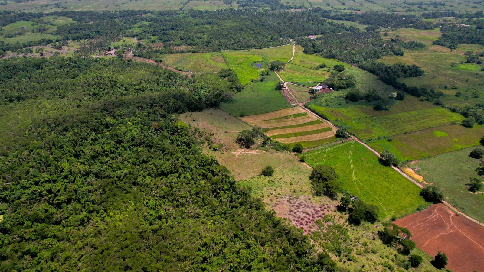 Second image of Elim to Bogue in Bogue, St. Elizabeth, Jamaica - property is For Sale
