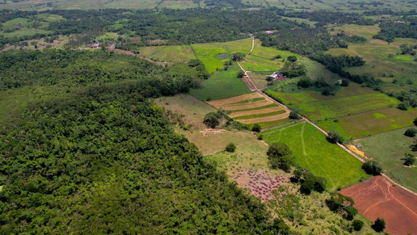 Second image of Elim to Bogue in Bogue, St. Elizabeth, Jamaica - property is For Sale