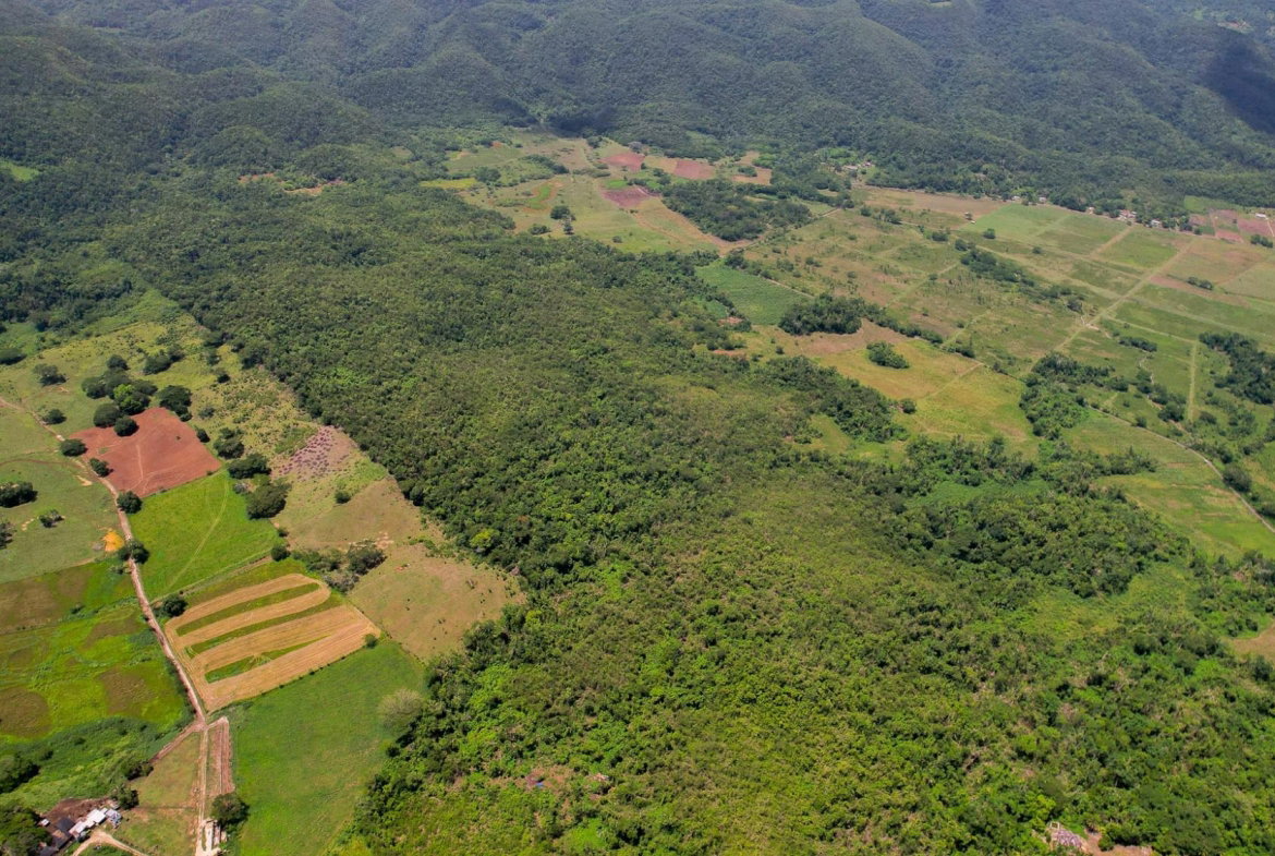 First image of Elim to Bogue in Bogue, St. Elizabeth, Jamaica - property is For Sale