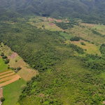 First image of Elim to Bogue in Bogue, St. Elizabeth, Jamaica - property is For Sale