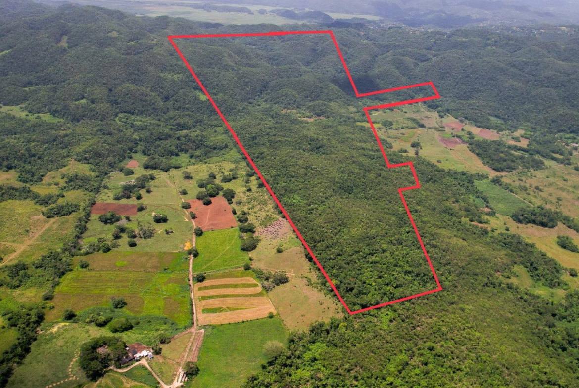 Third image of Elim to Bogue in Bogue, St. Elizabeth, Jamaica - property is For Sale