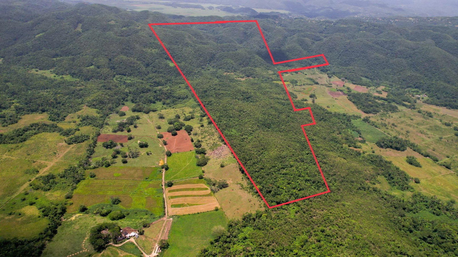 Third image of Elim to Bogue in Bogue, St. Elizabeth, Jamaica - property is For Sale