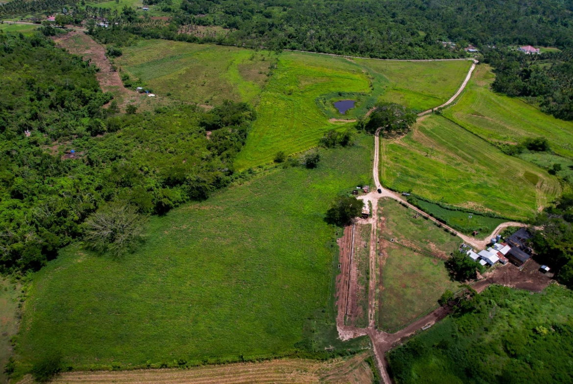 Fourth image of Elim to Bogue in Bogue, St. Elizabeth, Jamaica - property is For Sale
