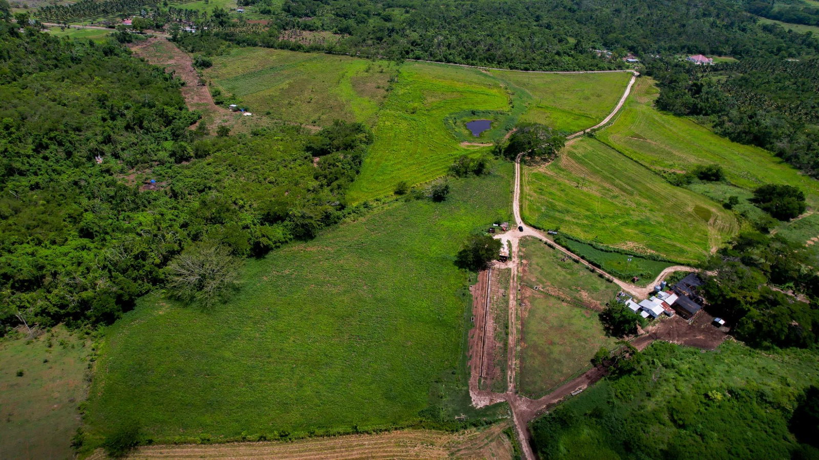 Fourth image of Elim to Bogue in Bogue, St. Elizabeth, Jamaica - property is For Sale