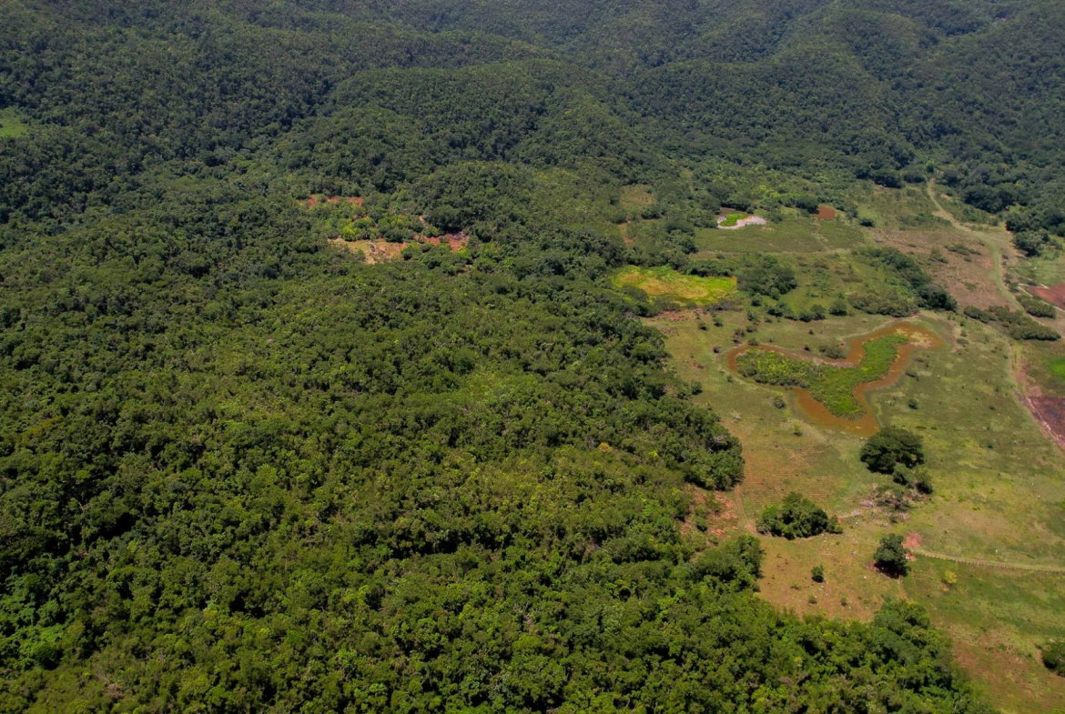 Fifth image of Elim to Bogue in Bogue, St. Elizabeth, Jamaica - property is For Sale