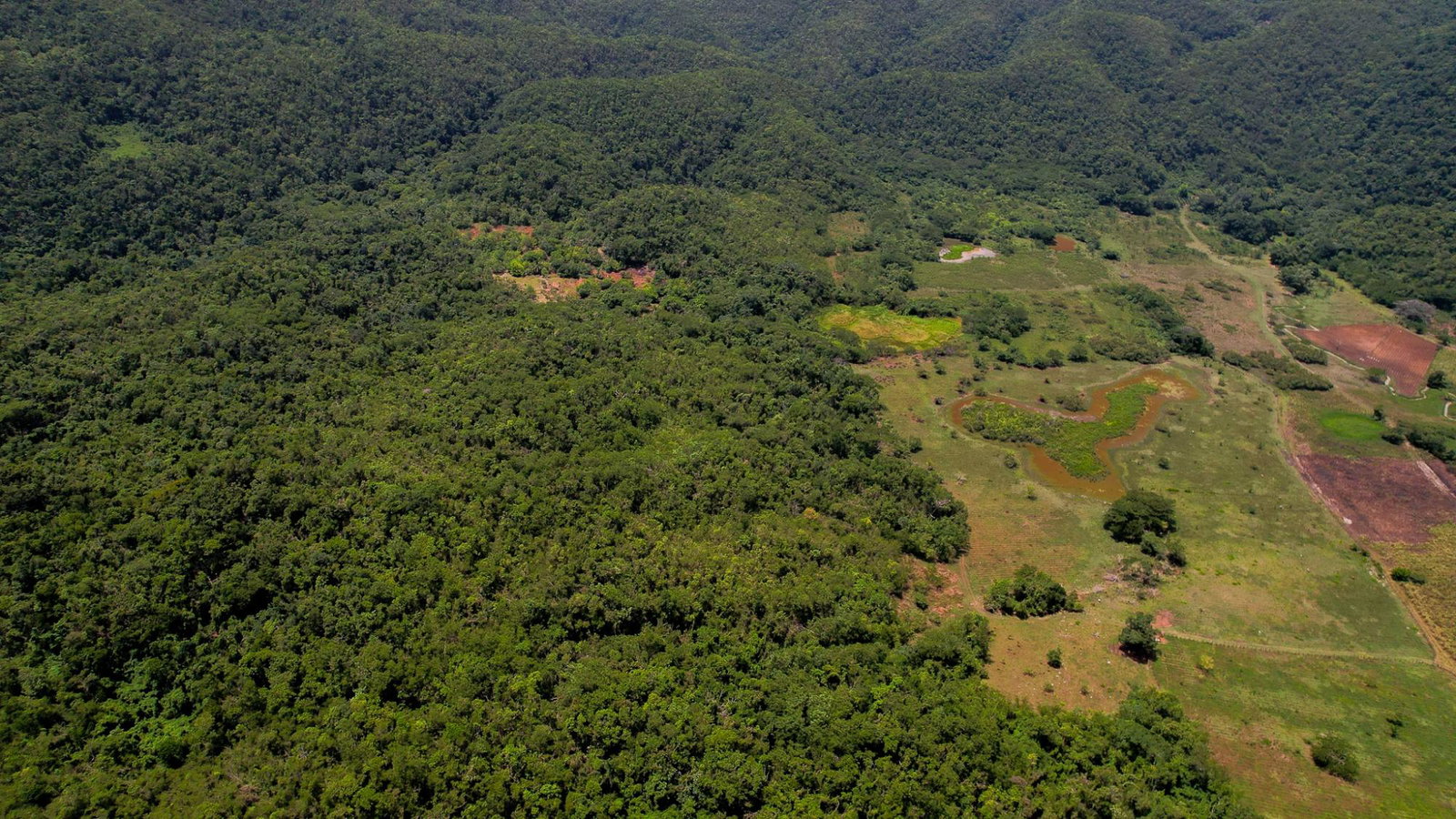 Fifth image of Elim to Bogue in Bogue, St. Elizabeth, Jamaica - property is For Sale