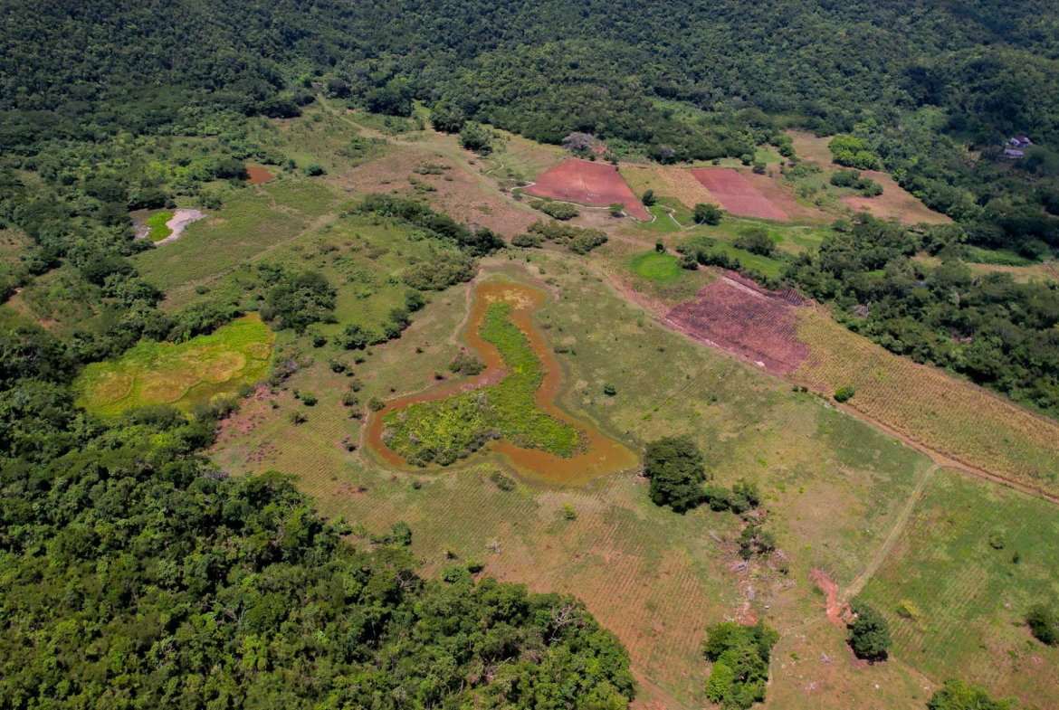 Sixth image of Elim to Bogue in Bogue, St. Elizabeth, Jamaica - property is For Sale