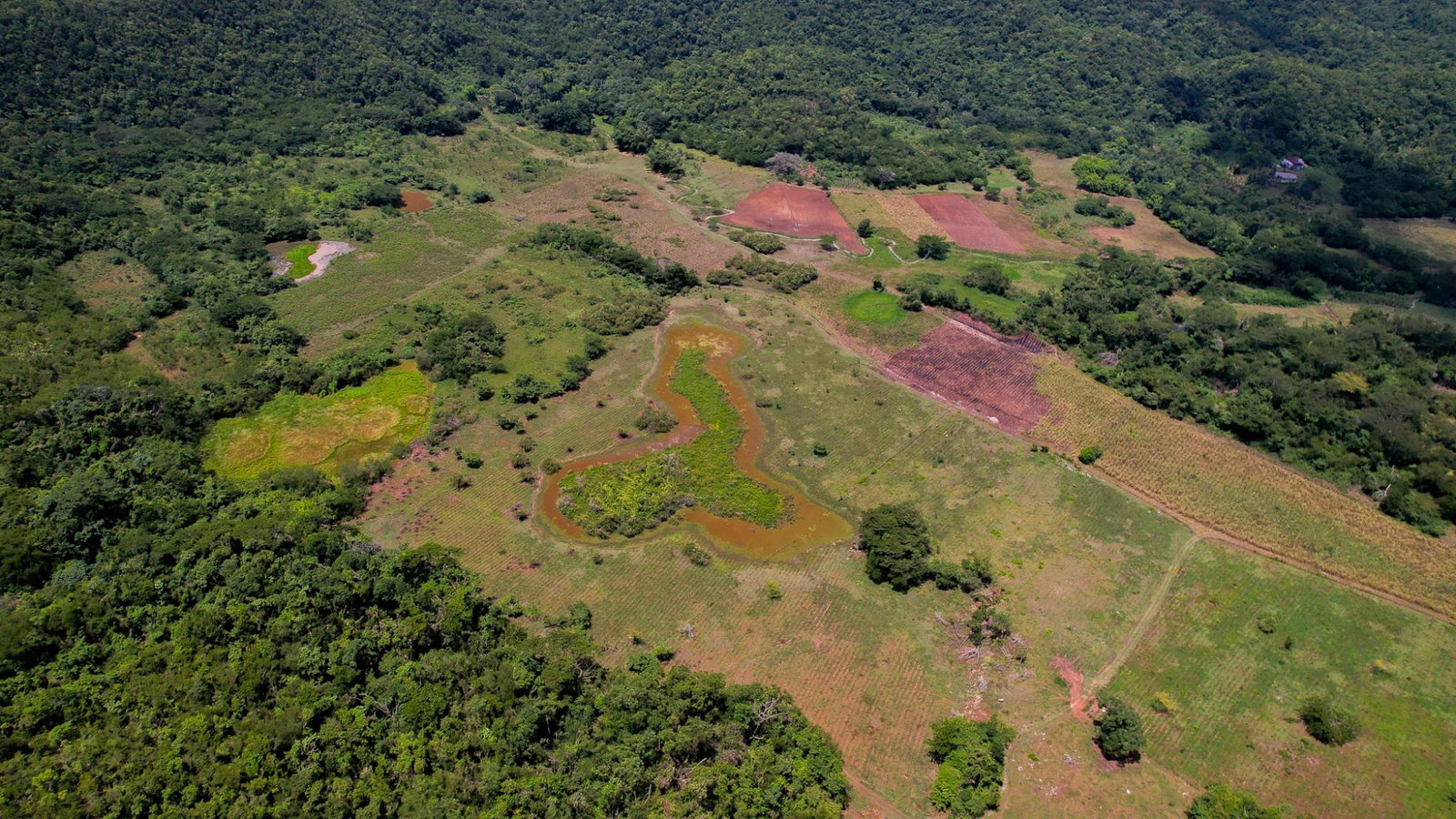 Sixth image of Elim to Bogue in Bogue, St. Elizabeth, Jamaica - property is For Sale