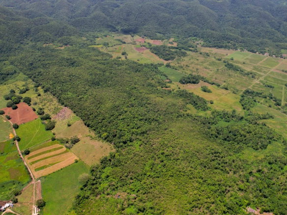 First image of Elim to Bogue in Bogue, St. Elizabeth, Jamaica - property is For Sale