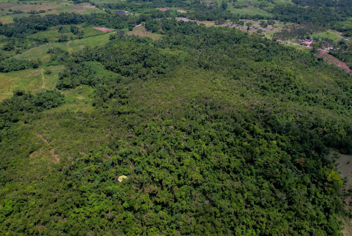 Seventh image of Elim to Bogue in Bogue, St. Elizabeth, Jamaica - property is For Sale