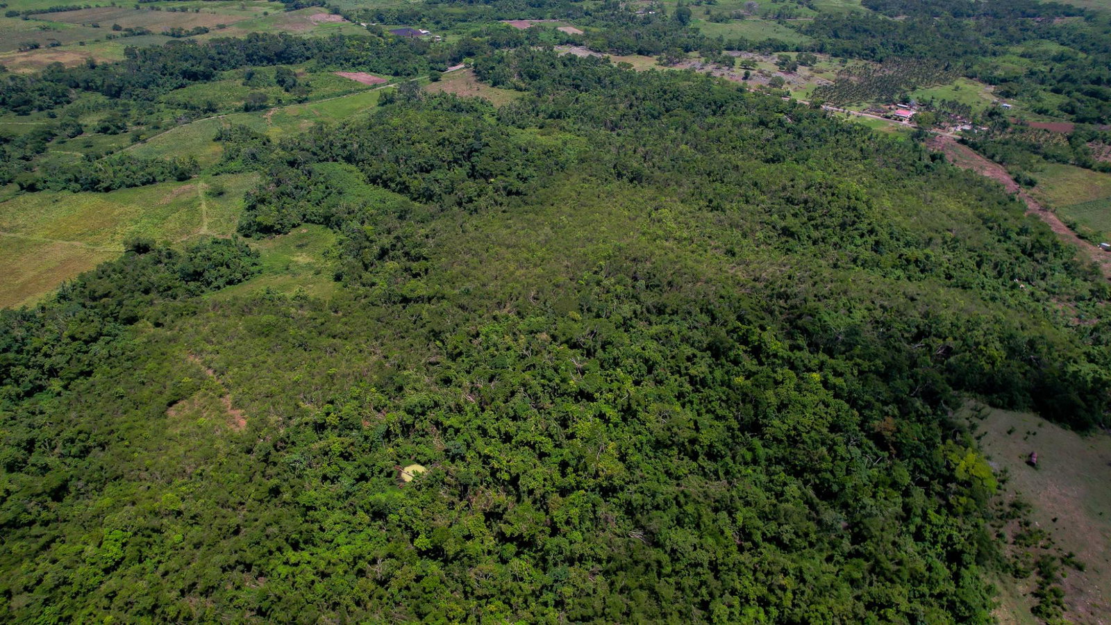 Seventh image of Elim to Bogue in Bogue, St. Elizabeth, Jamaica - property is For Sale