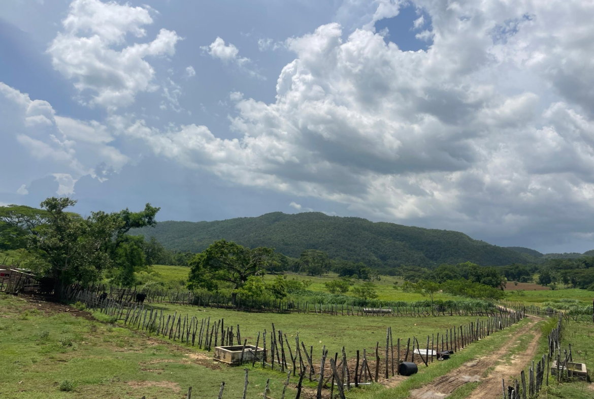 Eighth image of Elim to Bogue in Bogue, St. Elizabeth, Jamaica - property is For Sale