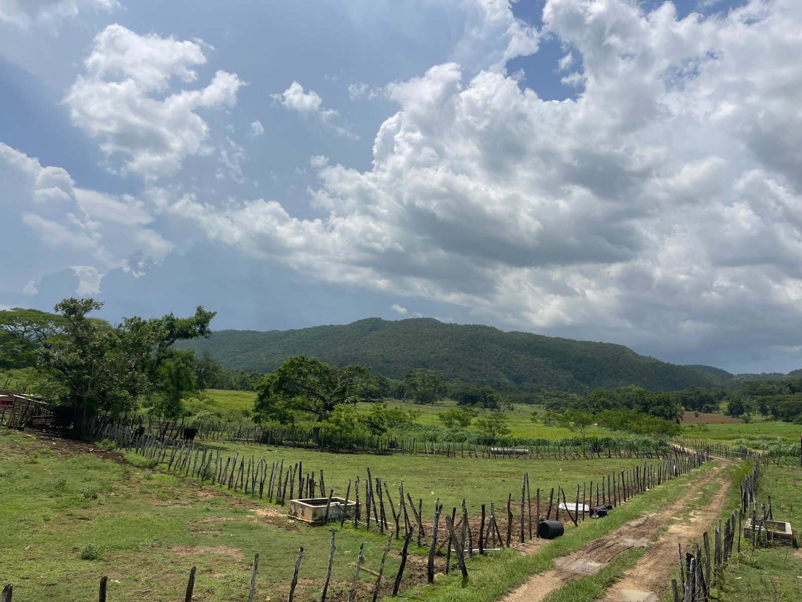 Eighth image of Elim to Bogue in Bogue, St. Elizabeth, Jamaica - property is For Sale