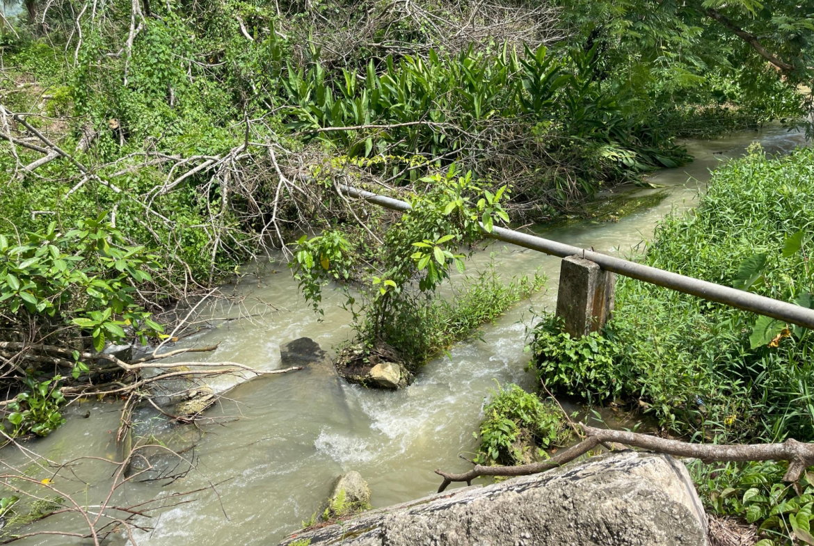 Ninth image of Elim to Bogue in Bogue, St. Elizabeth, Jamaica - property is For Sale