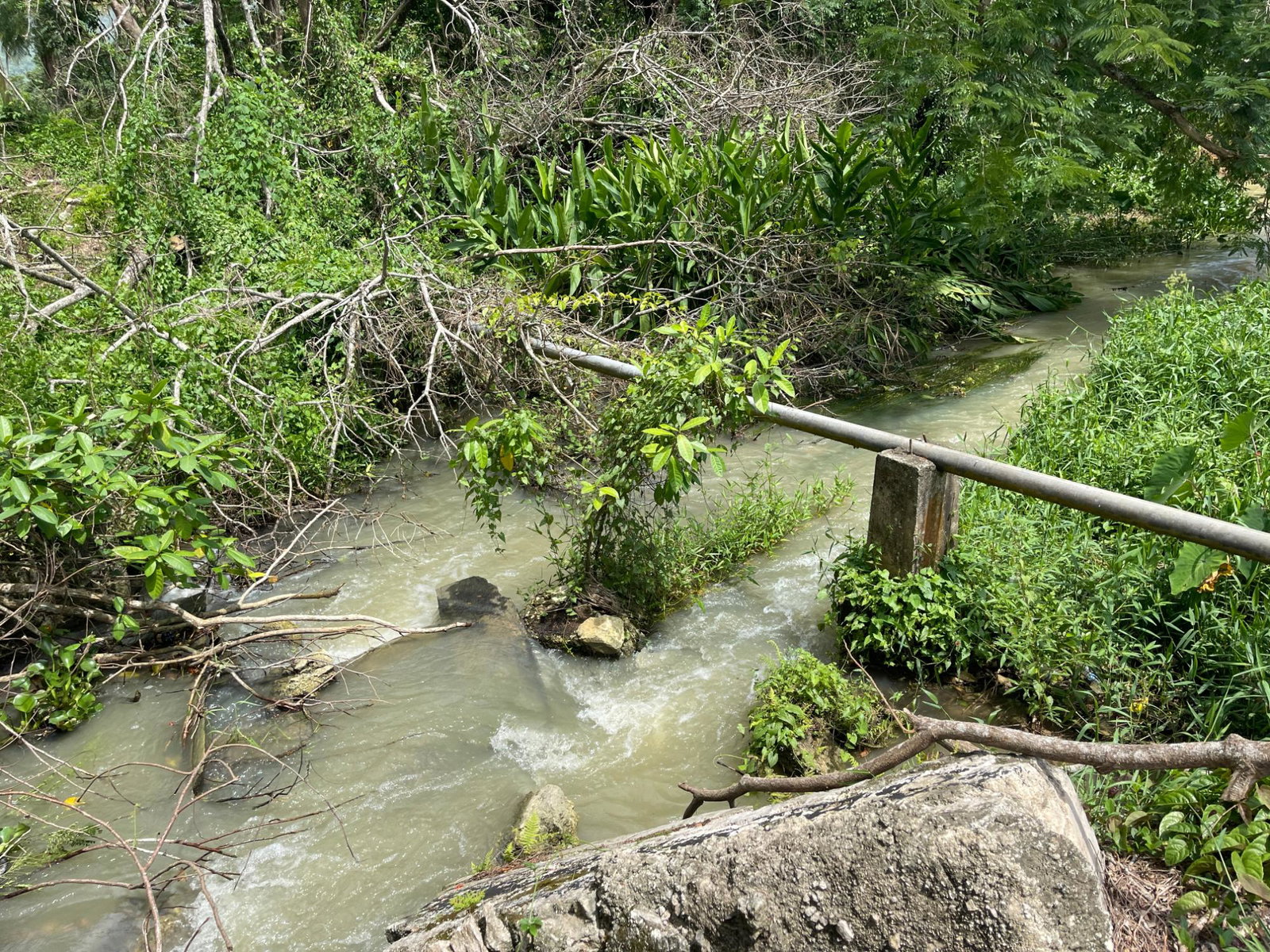 Ninth image of Elim to Bogue in Bogue, St. Elizabeth, Jamaica - property is For Sale