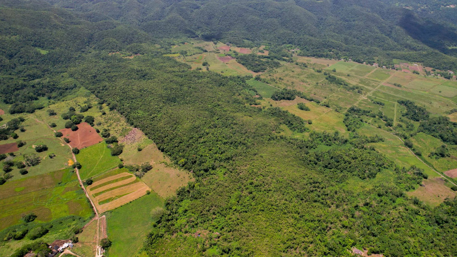 First image of Elim to Bogue in Bogue, St. Elizabeth, Jamaica - property is For Sale