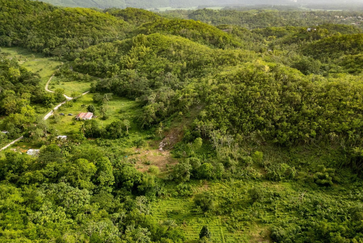 Eleventh image of West Prospect Main Road in West Prospect, St. Catherine, Jamaica - property is For Sale