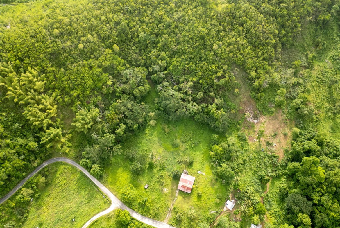 Thirteenth image of West Prospect Main Road in West Prospect, St. Catherine, Jamaica - property is For Sale