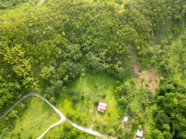 Thirteenth image of West Prospect Main Road in West Prospect, St. Catherine, Jamaica - property is For Sale