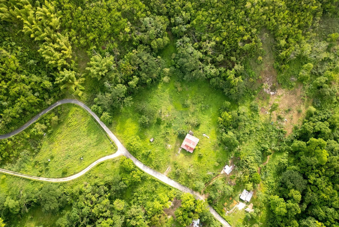 Fourteenth image of West Prospect Main Road in West Prospect, St. Catherine, Jamaica - property is For Sale