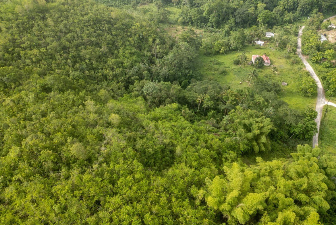 Sixteenth image of West Prospect Main Road in West Prospect, St. Catherine, Jamaica - property is For Sale